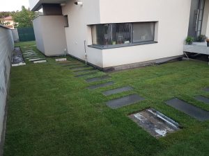 pasi de pisica andezit (13)